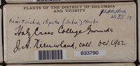 Image Associated With the Occurence